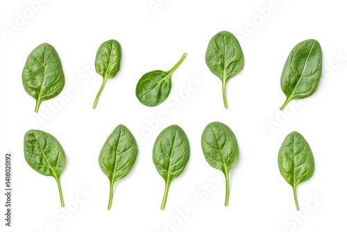 Fresh spinach leaves arranged on white background vibrant green hues healthy eating concept showcasing natural beauty and simple