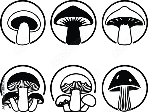 vector illustration of mushroom, vegetable, amanita, set, art