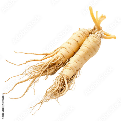 ginseng-isolated-on-white-background.png