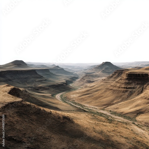 Desert canyon landscape aerial view on white background