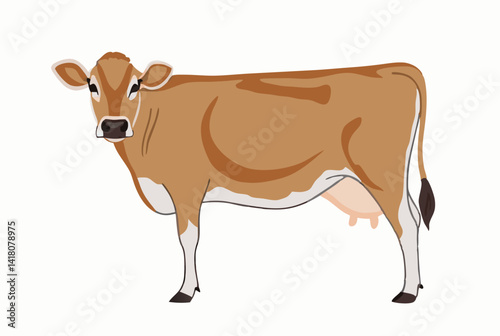 A Jersey cow isolated with a white background