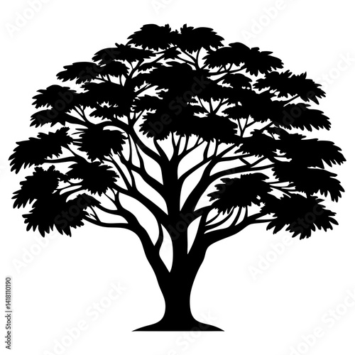 Silhouette of a mature tree with dense foliage against a white background