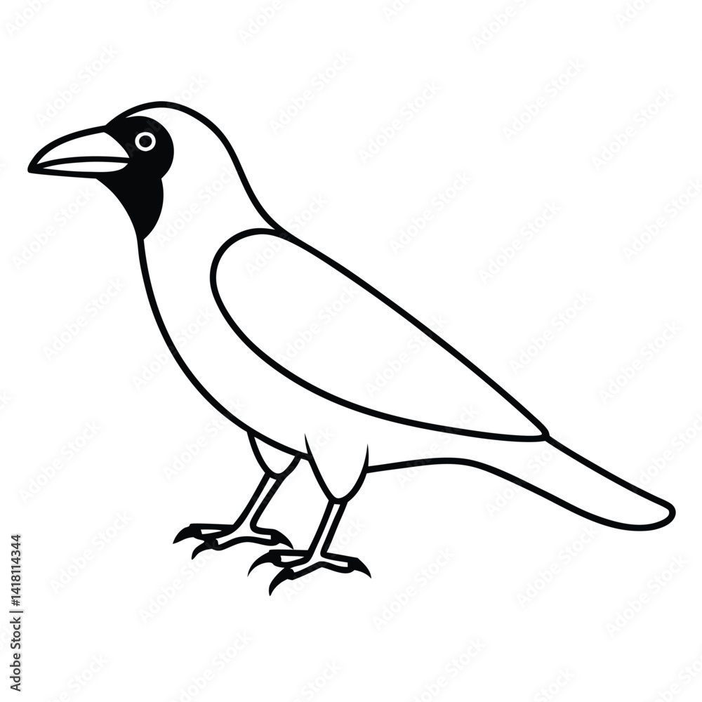 Fototapeta premium American Crow line art vector isolated on white background