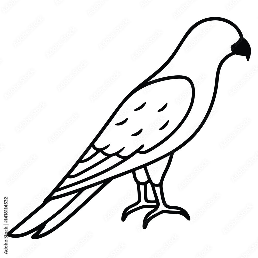 Fototapeta premium American Kestrel line art vector isolated on white background