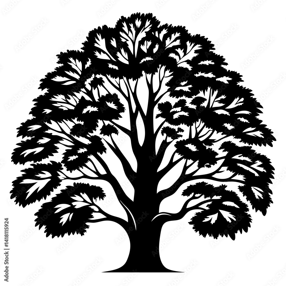 Obraz premium A Silhouetted Tree in Full Foliage with Many Branches and Leaves