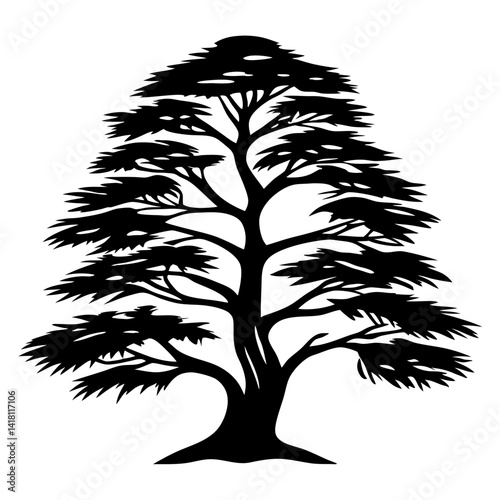 Silhouette of a cedar tree with layered branches and dense foliage