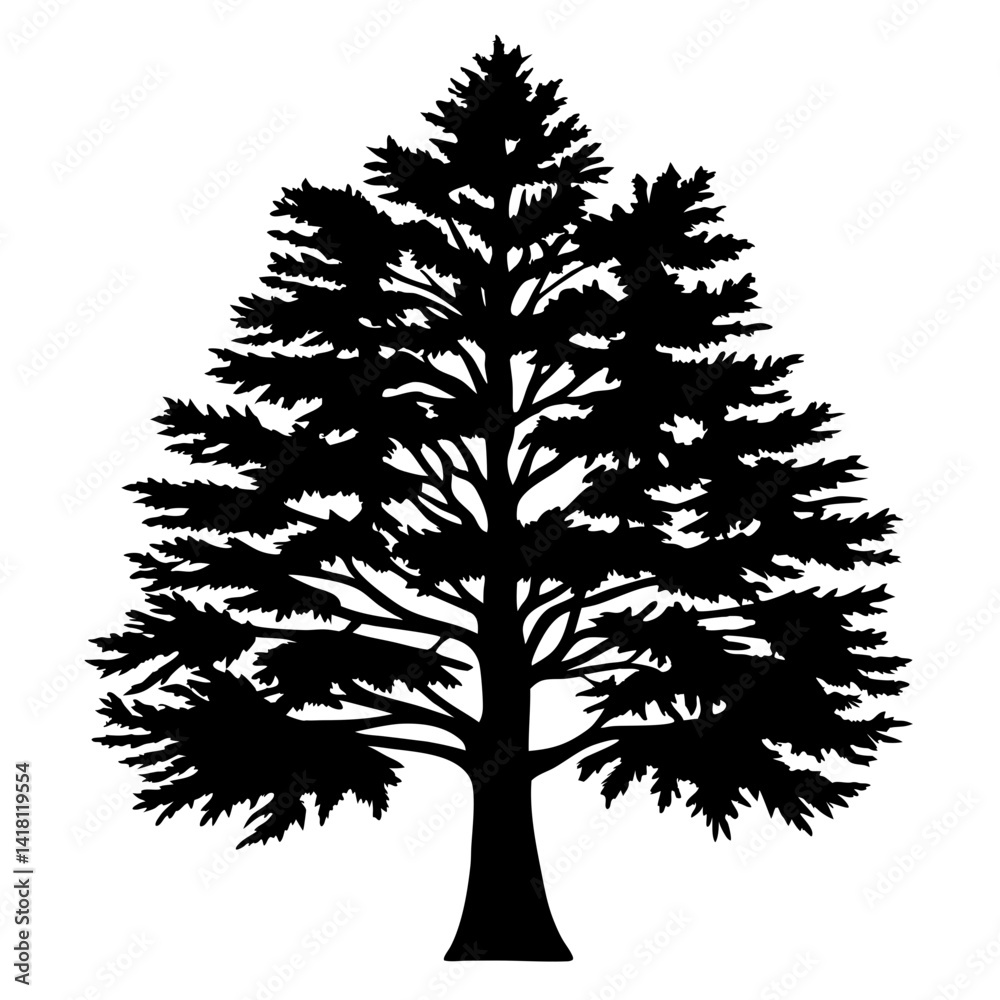 Obraz premium Striking Black Silhouette of a Mature Pine Tree on White Background