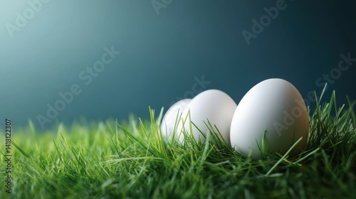 Colorful eggs in meadow