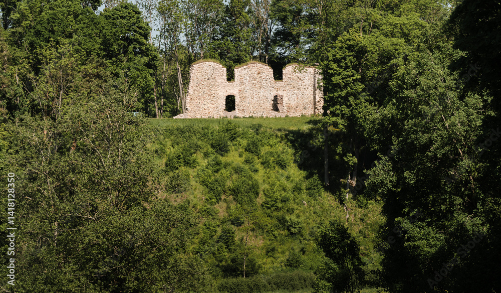 Obraz premium A large green hill in summer, grassy, ​​trees visible all around, an ancient castle mound with wall ruins.