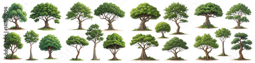 Collection of 20 Cartoon Trees, Isolated on Transparent Background, Game Asset, Nature Illustration, Trees, Game Assets, Cartoon