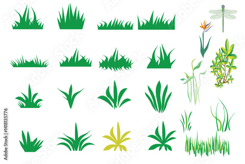 Grass vector set Grass color vector plant oxygen nature green leaf beauty fresh eco garden botany flora herb tree design art illustration natural outdoor healthy summer spring organic environment.eps