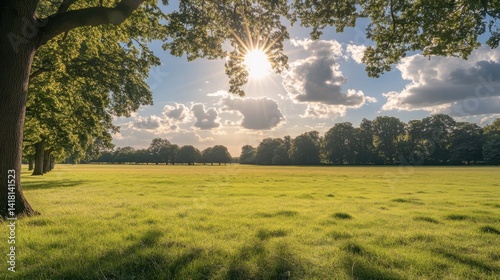 Colorful eggs in meadow