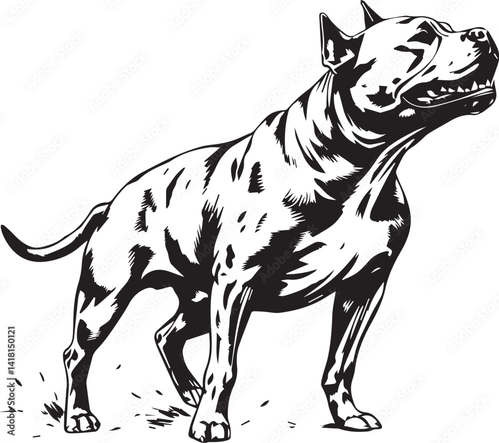 Fototapeta premium Pitbull terrier. Hand drawn vector illustration