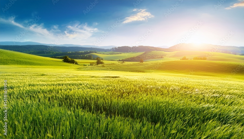 Obraz premium Landscape horizontal blurred field banner