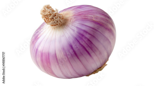 Detailed close-up front view of a fresh onion on transparent background. Natural texture and layers clearly visible, ideal for culinary designs