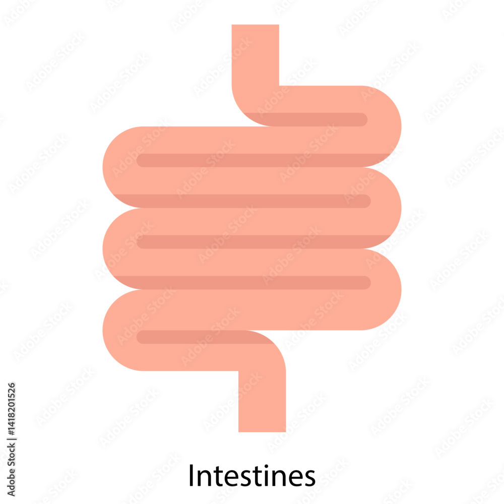Intestines single vector icon illustration Intestines single vector icon illustration