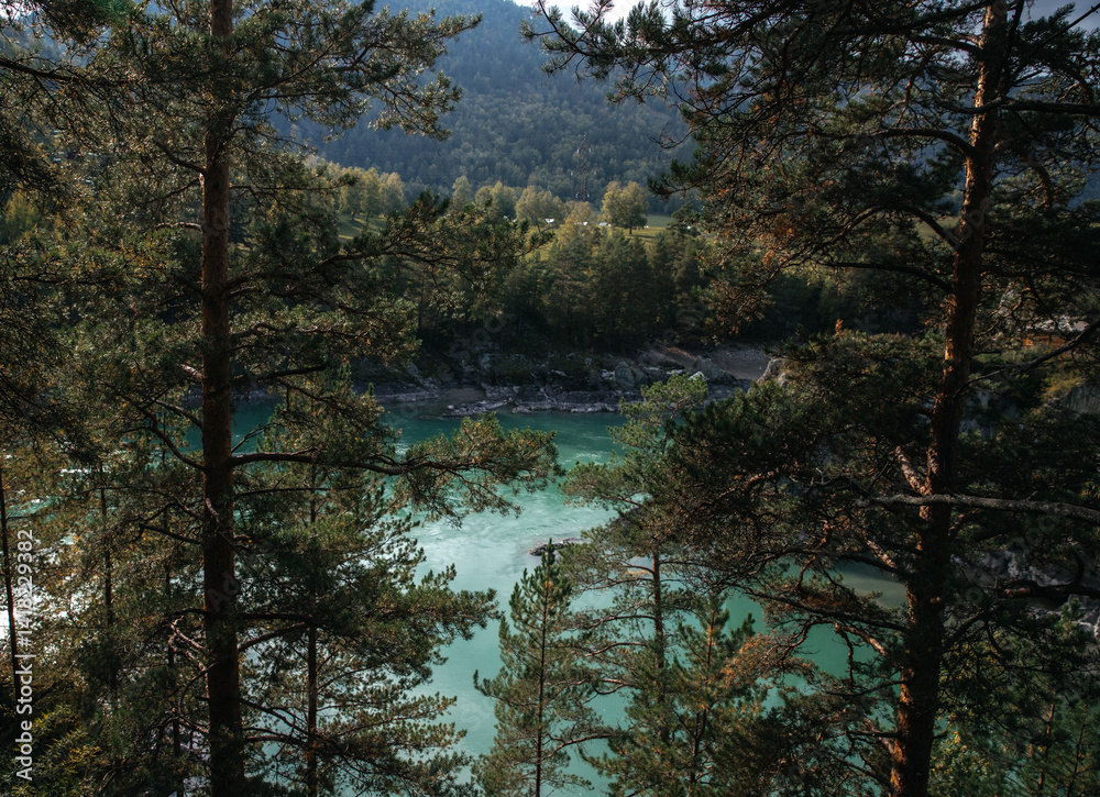 Obraz premium Majestic river flowing through a lush forest landscape with a small speedboat cutting across the water. Surrounded by towering cliffs and trees, creating a serene escape.