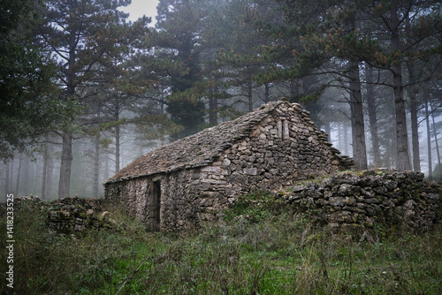abandoned, centuries-old quarrystone dwelling in the mountains of southern france on a misty autumn day