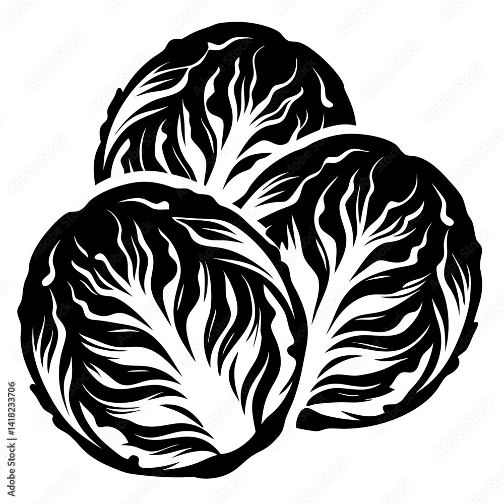 Three heads of Savoy cabbage in a bold, graphic black and white art style Three heads of Savoy cabbage in a bold, graphic black and white art style