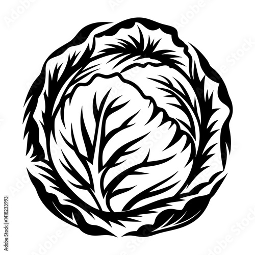 Stylized black and white illustration of a cabbage head, showing its leaves