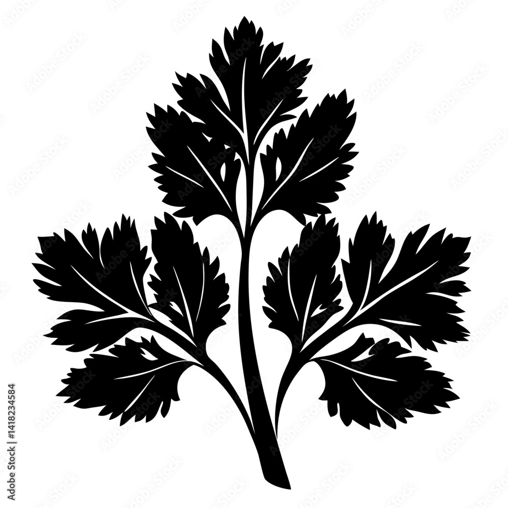 Obraz premium Stylized monochrome illustration of cilantro or parsley leaves on white background