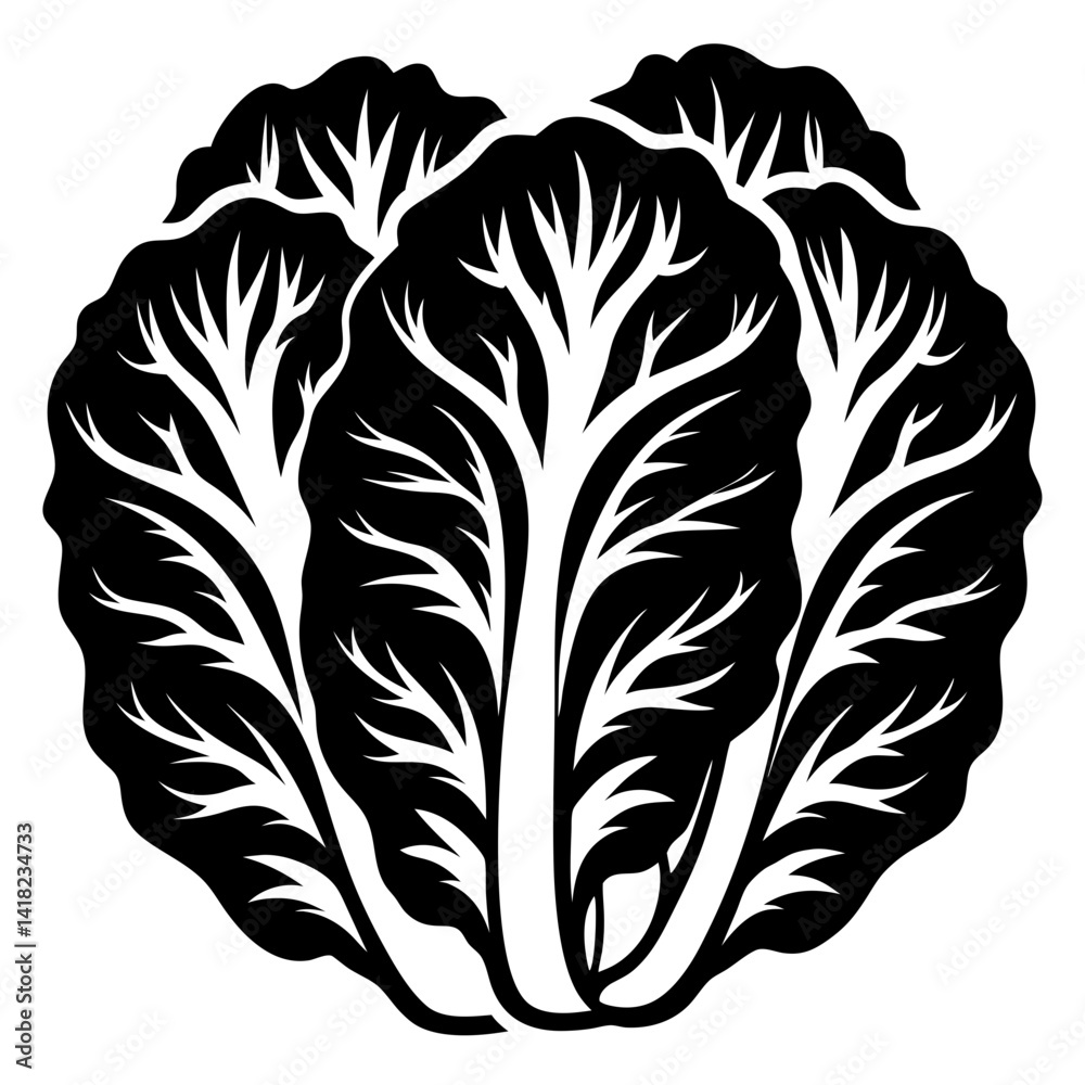 Obraz premium Stylized monochrome vector illustration of a leafy vegetable plant head