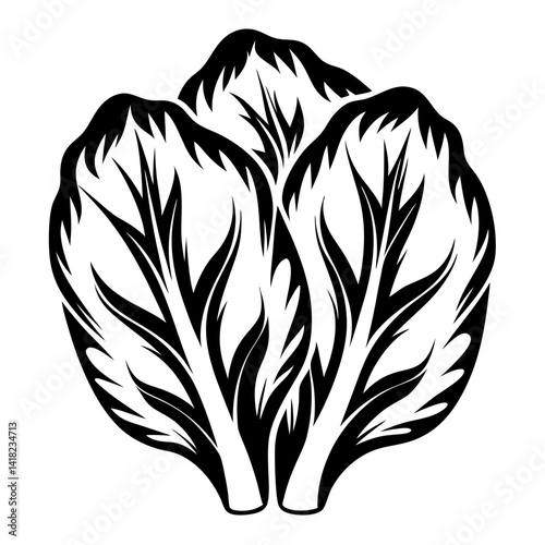 Stylized Napa Cabbage Illustration with Black and White High Contrast Design