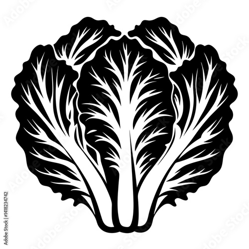 Stylized Black and White Illustration of a Head of Napa Cabbage