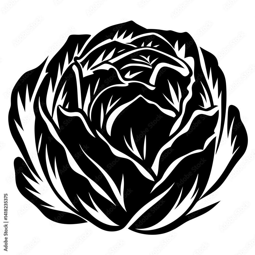 Monochrome depiction of a cabbage head in high contrast black and white Monochrome depiction of a cabbage head in high contrast black and white