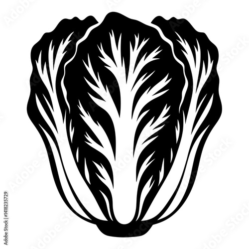 Stylized black and white depiction of napa cabbage a culinary ingredient