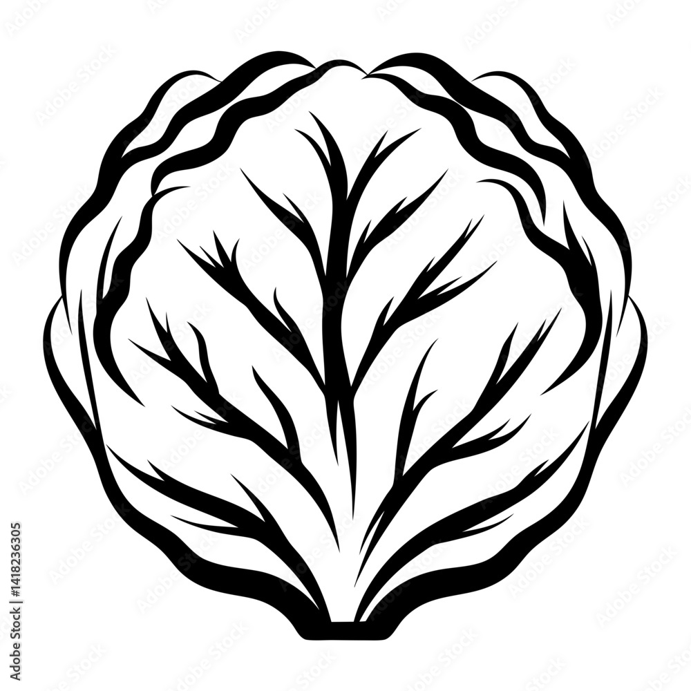 Stylized lettuce head with strong black and white contrast graphic element Stylized lettuce head with strong black and white contrast graphic element