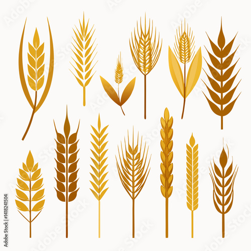 wheat ears vector