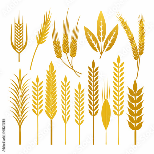 ears of wheat