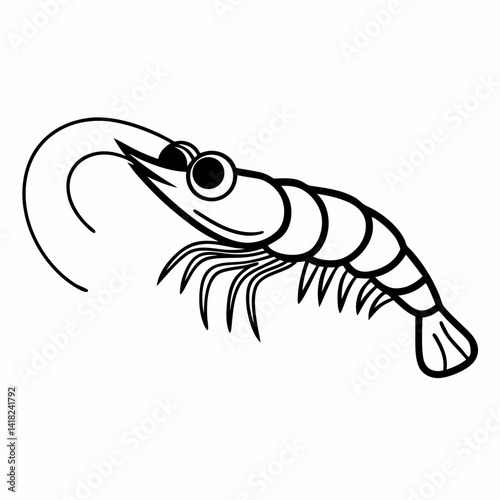 vector illustration of shrimp
