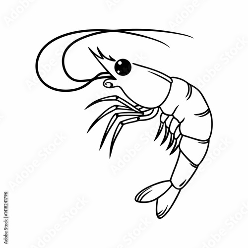 vector illustration of shrimp