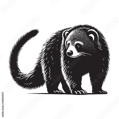 Whiskers of the Canopy: A Captivating Collection of Binturong Vector Silhouettes Showcasing the Mysterious Charm, Arboreal Grace, and Unique Form of the Elusive Bearcat
