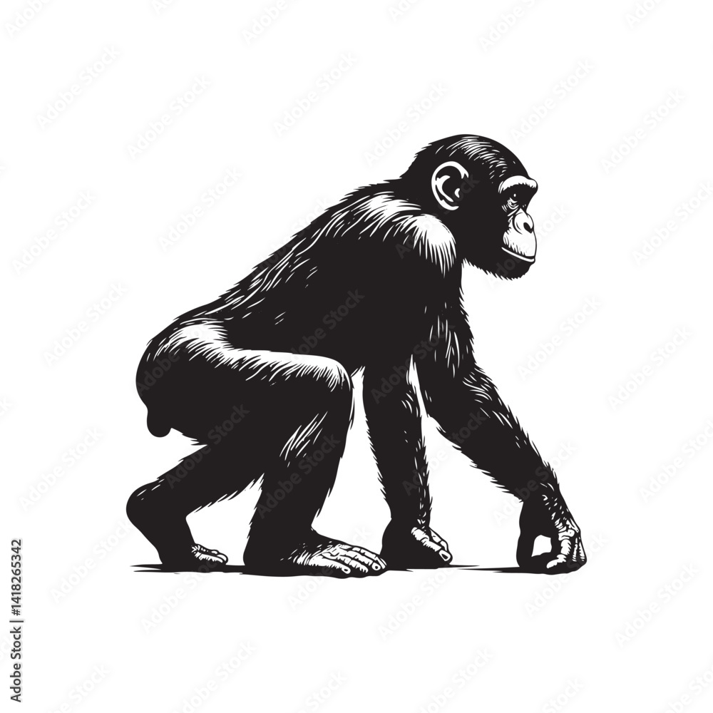 Fototapeta premium Peaceful Shadows: A Thoughtful Collection of Bonobo Vector Silhouettes Highlighting the Gentle Nature, Social Intelligence, and Distinctive Form of Humanity’s Closest Primate Relative in the Wild