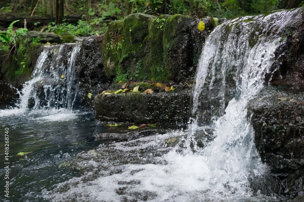 Fototapeta premium cascades of a clear brook