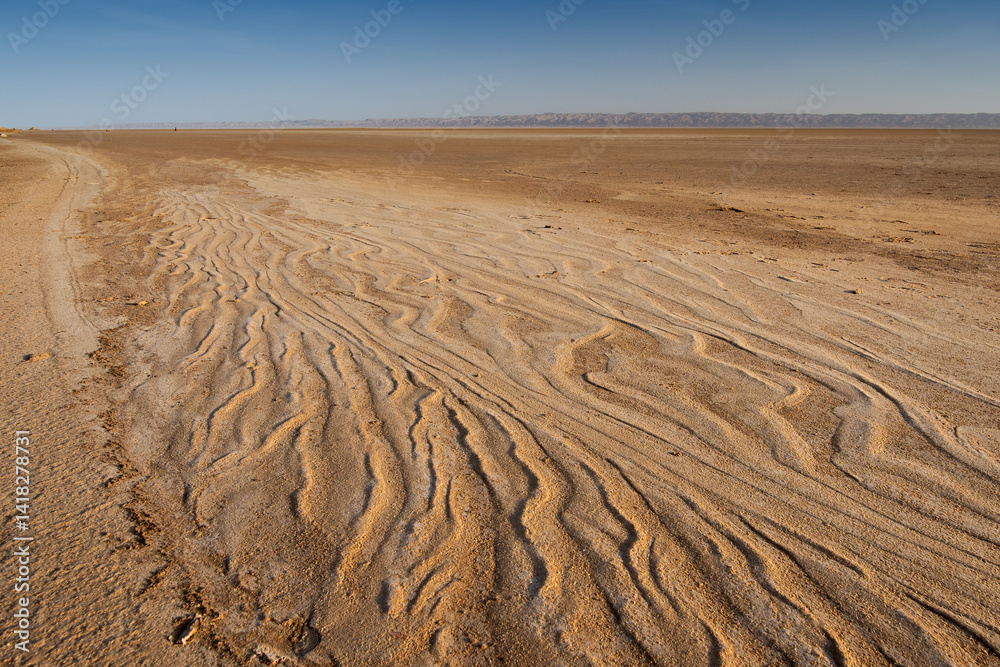 Naklejka premium View on a Chott El Jerid endorheic salt lake in southern Tunisia.