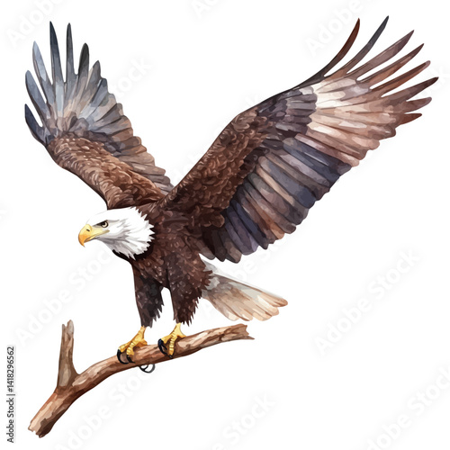 Eagle Landing On A Branch, watercolor vector, isolated on a white background.