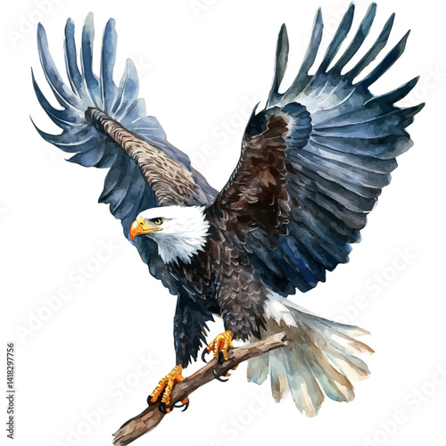 Eagle Landing On A Branch, vector watercolor illustration, isolated on a white background.
