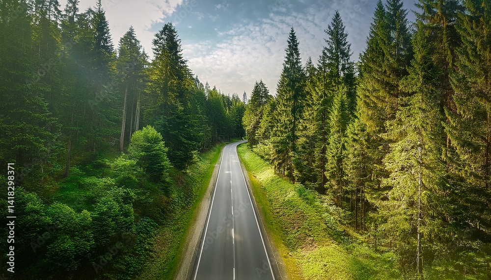 Fototapeta premium Driving through a forest