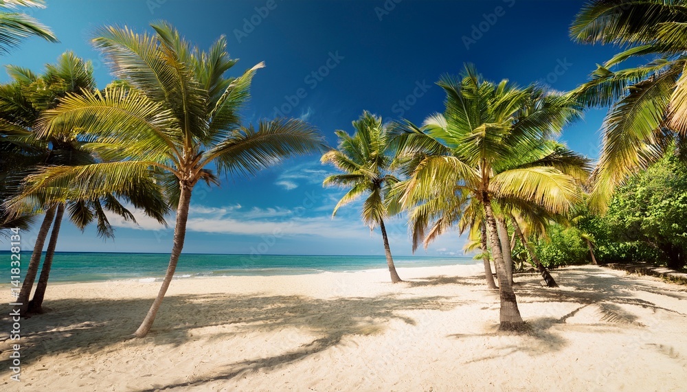 Tropical Palm Trees on Beach Tropical Palm Trees on Beach