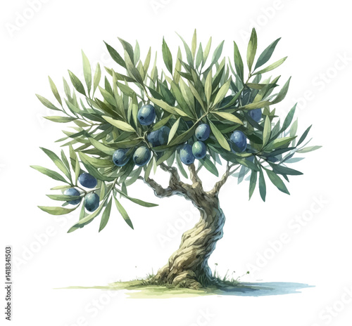 Olive Tree Watercolor Painting with Green Leaves and Olives on White Background for Nature, Food, Art
