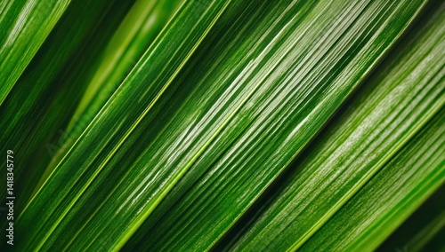 Close-up of vibrant green palm fronds with light stripes abstract botanical nature.