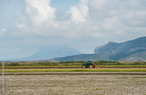 Working on the rice field, even mountain in awe 