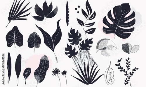Set of hand drawn shapes and floral design elements. Exotic jungle leaves, flowers and algae. Abstract contemporary modern trendy vector illustrations on transparent background