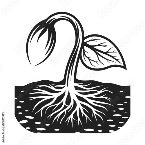 Sprouting Seed with Roots and Leaves