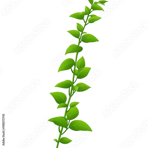 vibrant green vine with lush leaves extends upward, showcasing nature elegance and growth. leaves are fresh and healthy, symbolizing vitality and life