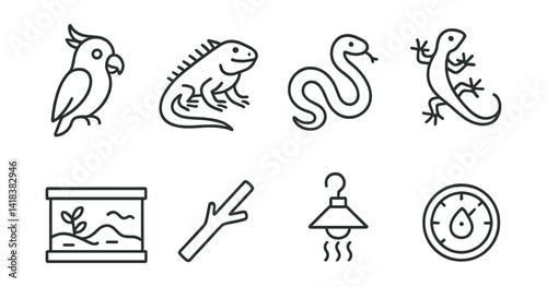 Line style icons of exotic pets: parrot, iguana, snake, gecko, terrarium, branch perch, heating lamp, humidity gauge.